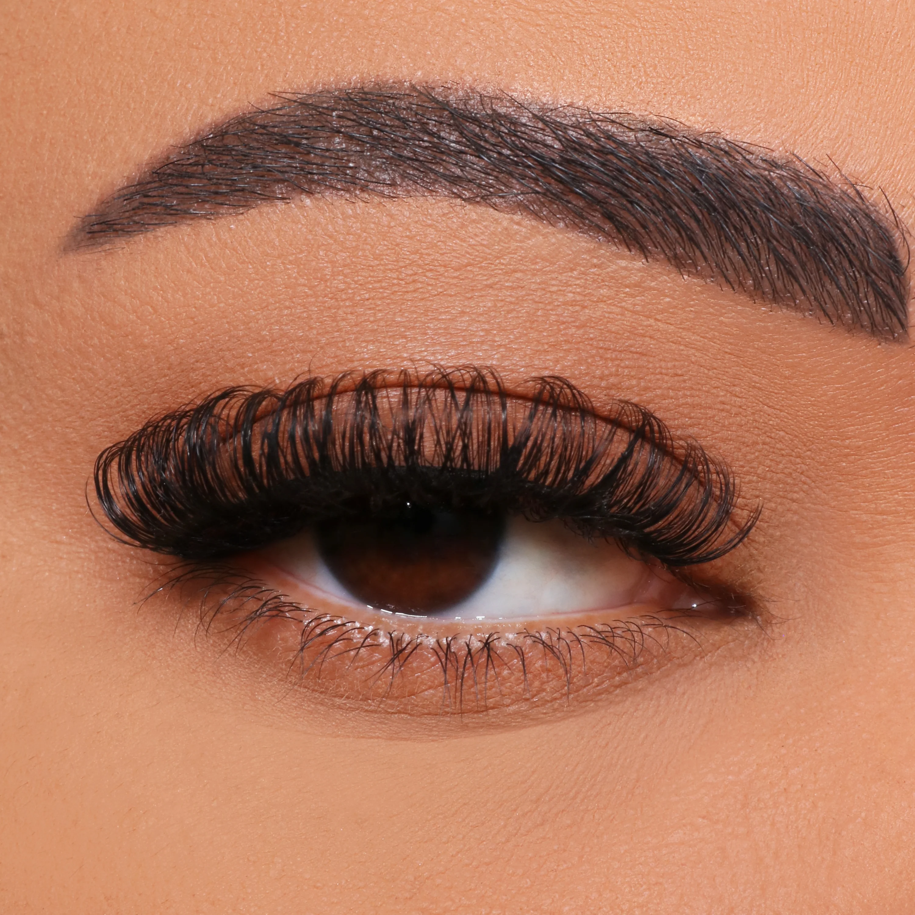 როგორ უნდა DIY მრავალფეროვანი წამწამების ნამყენი?